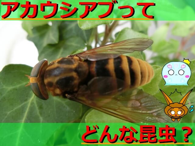 Thumbnail of post image 110